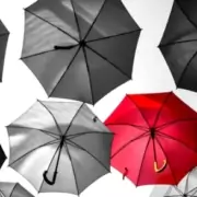 umbrella_verkleind Waarom kennis van SEO noodzakelijk is, wil je gevonden worden voor fijn werk