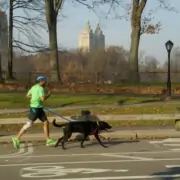 loper Met een beetje wilskracht kun je je wilskracht trainen