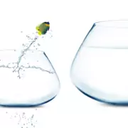 Gaan voor een nieuwe baan of blijven zitten waar je zit Gaan voor een nieuwe baan of blijven zitten waar je zit