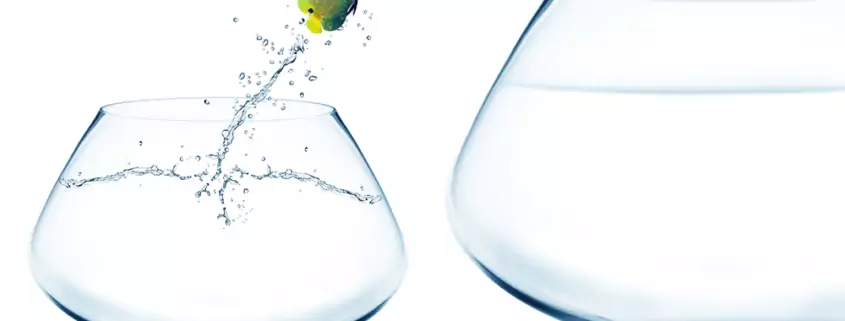 Gaan voor een nieuwe baan of blijven zitten waar je zit