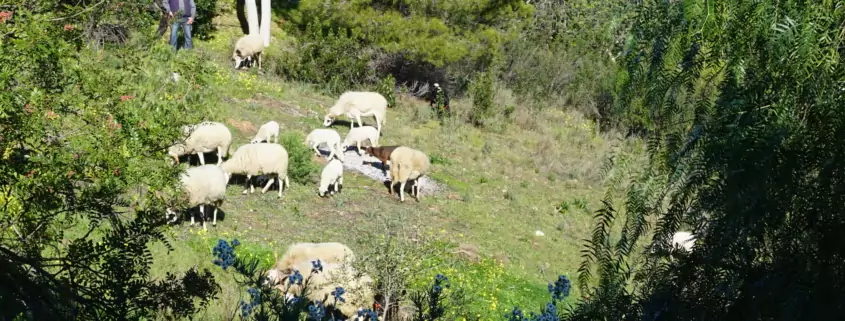 Hoe zingeving je kijk op vrije tijd verandert