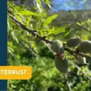 Na de winterrust