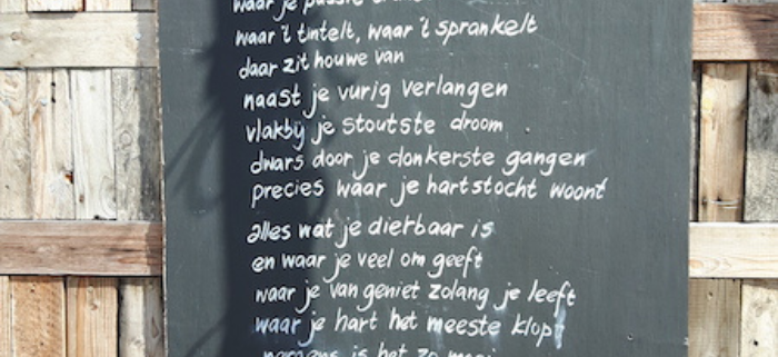 Gedicht 'Dichter bij de hemel'